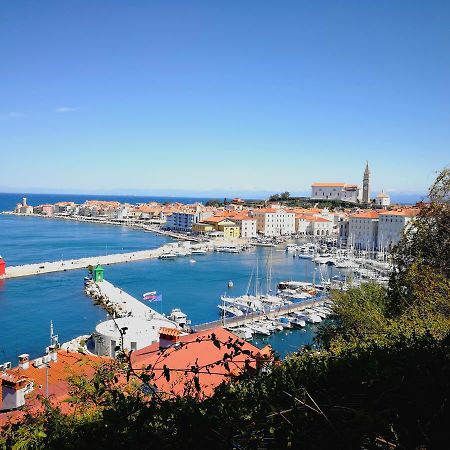 Piran Punta Kim Apartment Exteriér fotografie